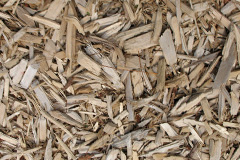 biomass boilers Seacombe